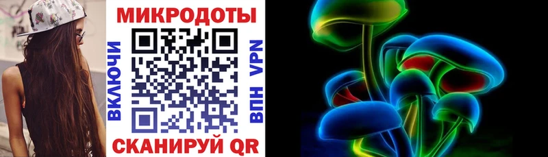 где найти наркотики  Черноголовка  Галлюциногенные грибы Psilocybine cubensis 